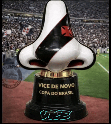 Copa Do Brasil Vasco GIF