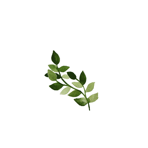 The Mini Forest Sticker