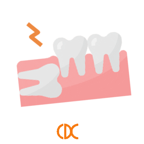 Charlestown Dental Centre Sticker