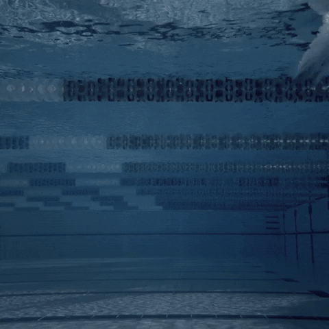 Under Water Swimming GIF by 2XU
