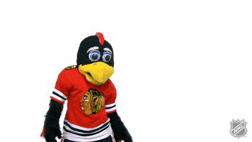 Chicago Blackhawks Dancing GIF by NHL