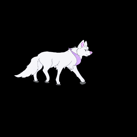 Wolf GIF