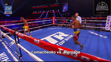 alejandroalexburgos boxing vasyl lomachenko rbrboxing GIF