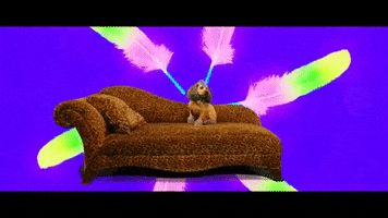 Dog I'M High GIF by The APX