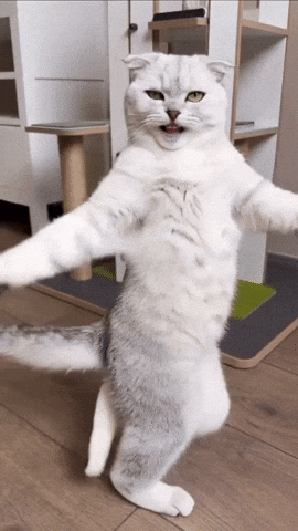 Happy Dance GIF
