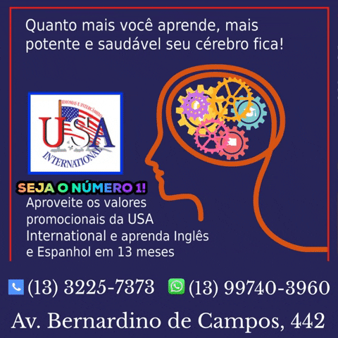 USA INTERNATIONAL SANTOS GIF