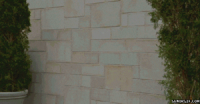 ouch wall GIF - ouch wall GIF