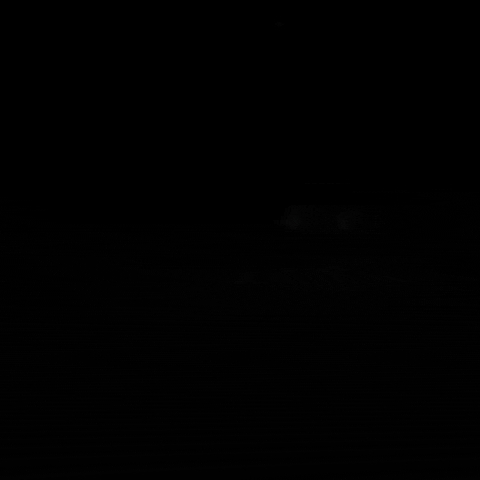 Driving Ted Bundy GIF by VVS FILMS