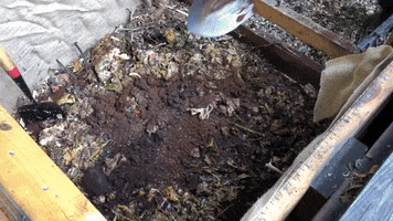 Food Trash GIF by Common Ground Compost