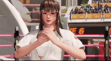 Dead Or Alive Fighting GIF