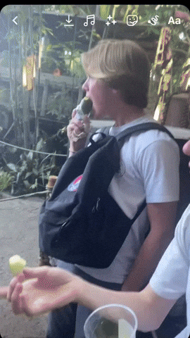 Guy Pickle GIF