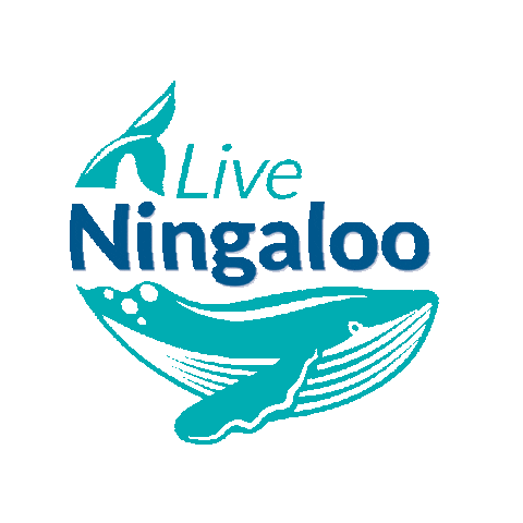 Live Ningaloo Sticker
