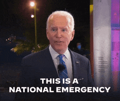 Voting Election 2020 GIF by Joe Biden