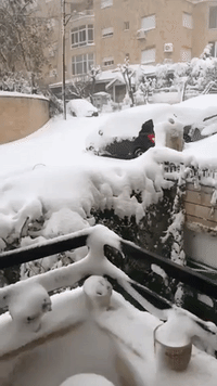 Snowy Morning for Amman Residents as Cold Weather Hits Jordan
