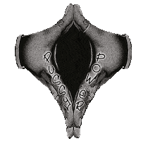 Pussy Power Sticker by Heavenly Recordings