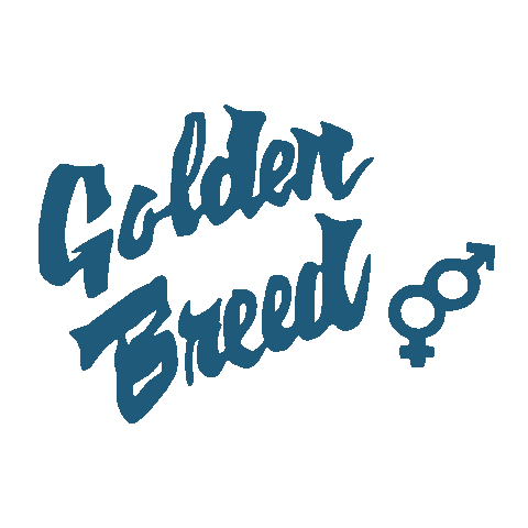 Golden Breed Sticker