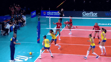 Come Here Head Coach GIF by Volleyball World