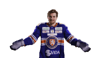 Happy Hands Up Sticker by Växjö Lakers