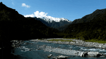 stevelordpottyreekie new zealand west coast kokatahi river GIF