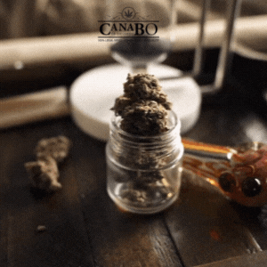 Canabo CBD GIF