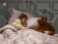 Funny-good-morning GIFs - Get the best GIF on GIPHY Funny-good-morning GIFs - Get the best GIF on GIPHY