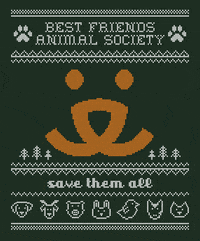 Save Them All Happy Birthday GIF by Best Friends Animal Society - Find &  Share on GIPHY