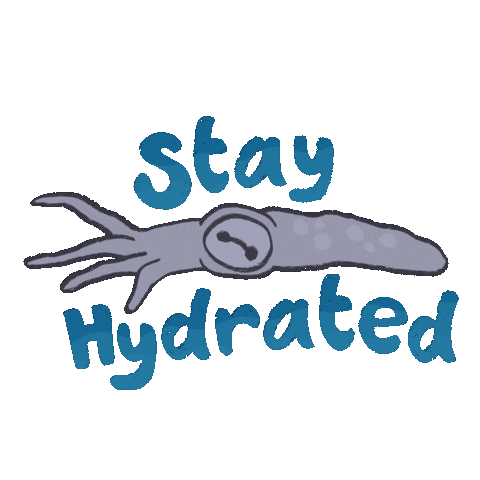 Stay Hydrated Drink Water Sticker
