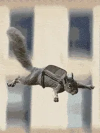 200w.webp?cid=790b7611xm7icw0nbzd4upsbjc