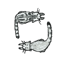 Cat Sticker
