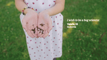 Season Wish GIF by Make-A-Wish America