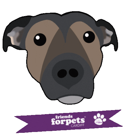 Friends For Pets Cardiff Sticker