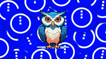 Midnight GIF