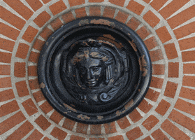 portland brick GIF by hateplow