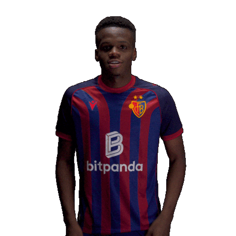 Football Soccer Sticker by FC Basel 1893