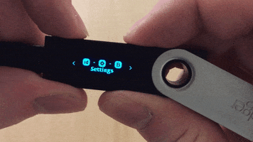 ledger  GIF