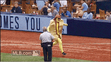 Tampa Bay Rays Field GIF by MLB