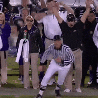 Horned Frogs Gofrogs GIF by TCU Athletics