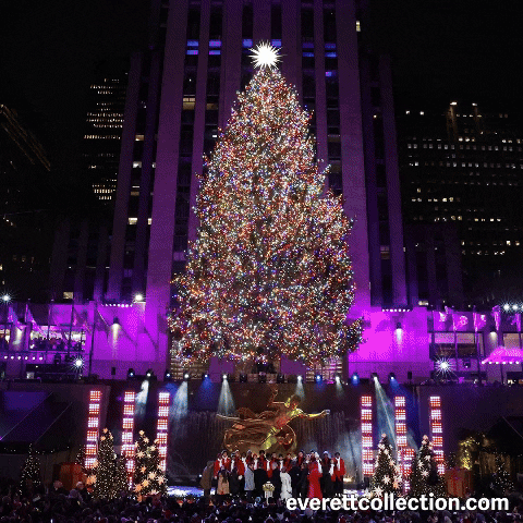 Rocktree GIF