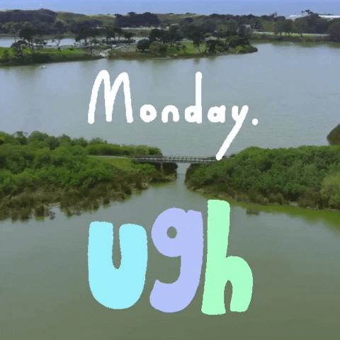 Text gif.  A wide panning shot of a bridge over a lake and the text says, "Monday. Ugh."