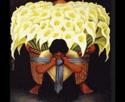 karidusenbery  GIF