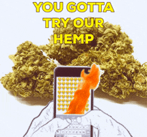 Georgetown Hemp GIF