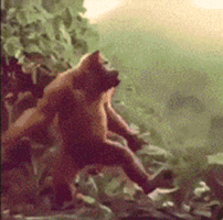 Funny-summer GIFs - Get the best GIF on GIPHY