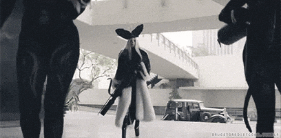 lady gaga guy GIF