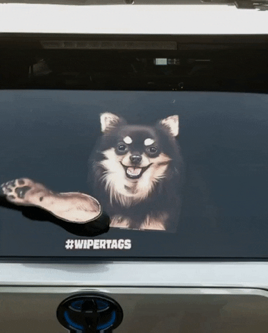 Chihuahua Waving Dog Wiper GIF by WiperTags Wiper Covers