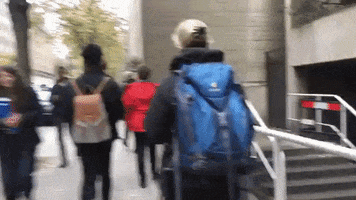 200.gif?cid=fc005b08326f39ecd221a3e655f3d771137ca5e1fa20579b&rid=200.gif&ct=g