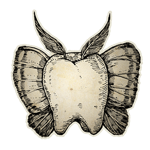 Tooth Fairy Butterfly Sticker