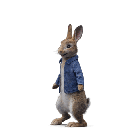 Peterrabbitlapelicula Hasidopeter Sticker by Sony Pictures España