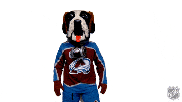 Colorado Avalanche Thumbs Up GIF by NHL