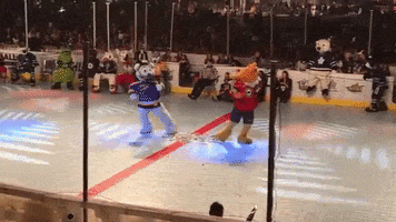 St Louis Blues Dancing GIF by Nordy Wild