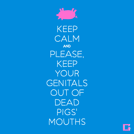 The Kosher Pig GIFs Find & Share on GIPHY